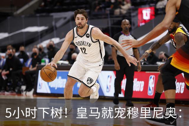 5小时下树！皇马就宠穆里尼奥：第5名新援到位，还有3大目标